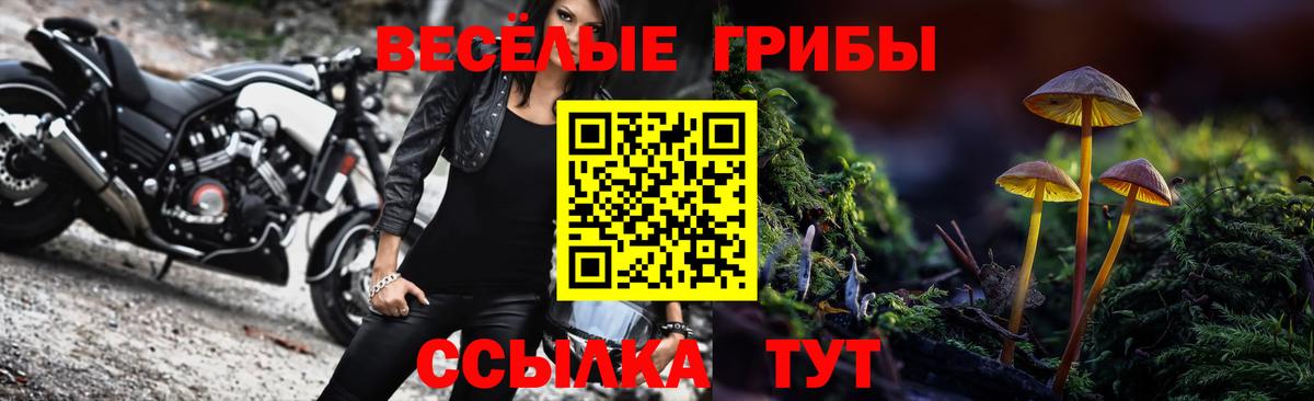 Галлюциногенные грибы прущие грибы  Вход с VPN  Апрелевка 